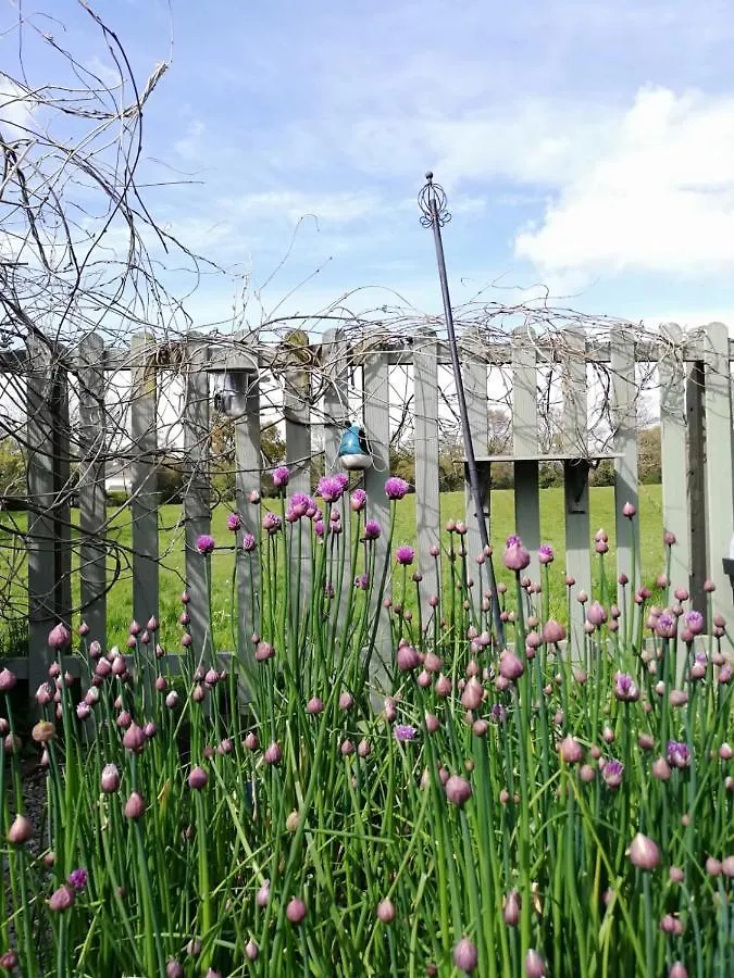 Applecroft House Bed & Breakfast Killarney